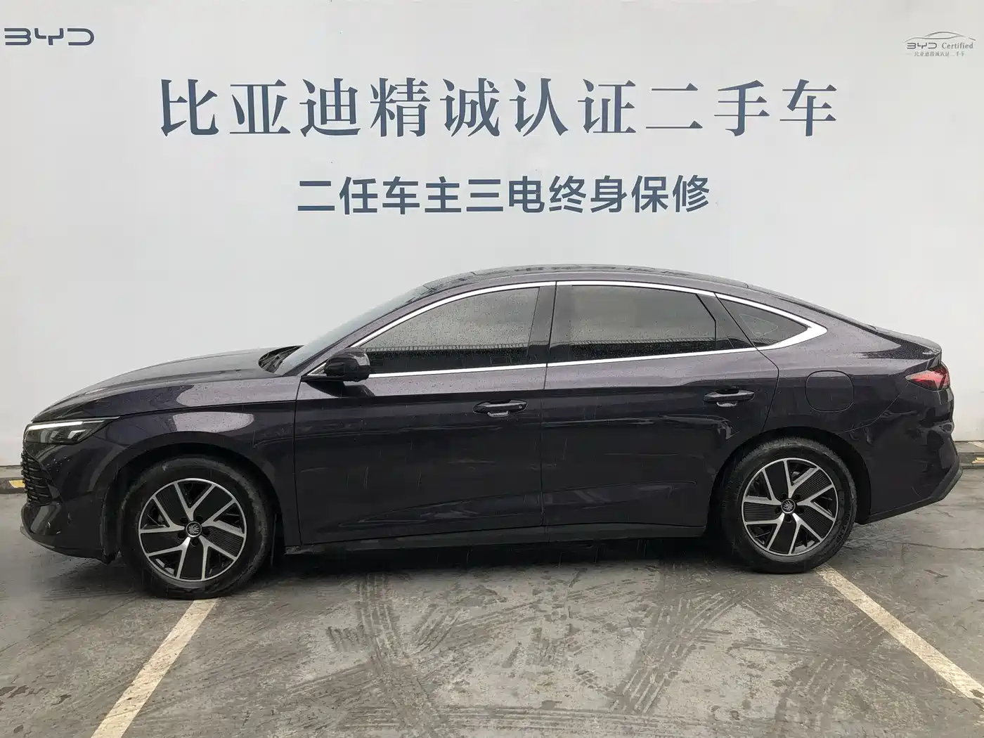 BYD QIN L