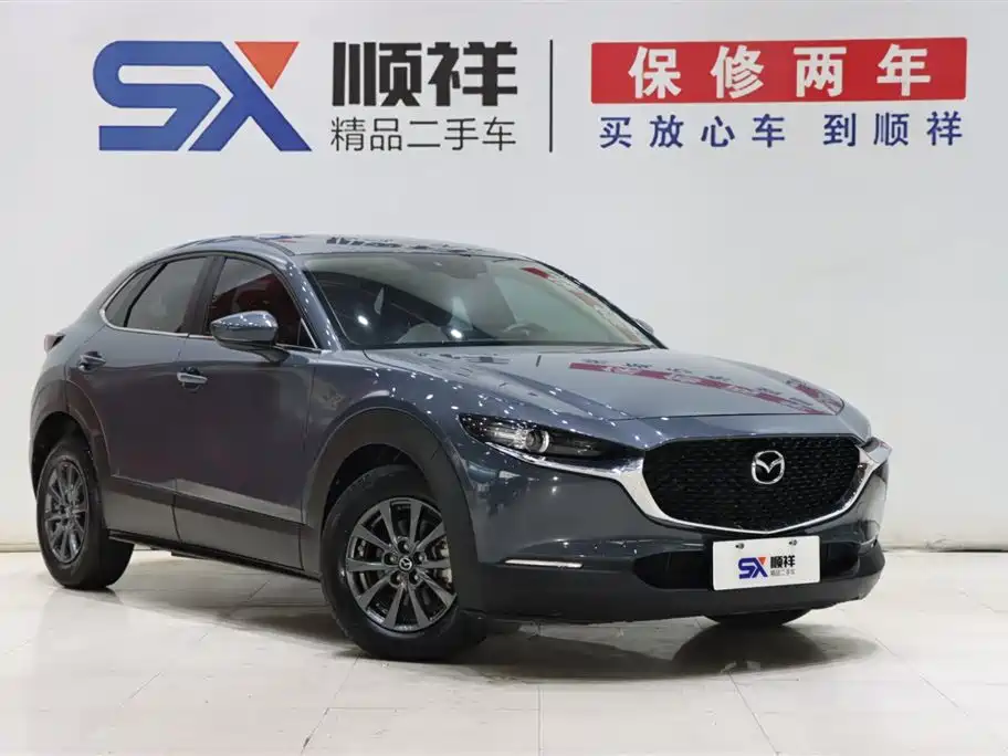  CX 30