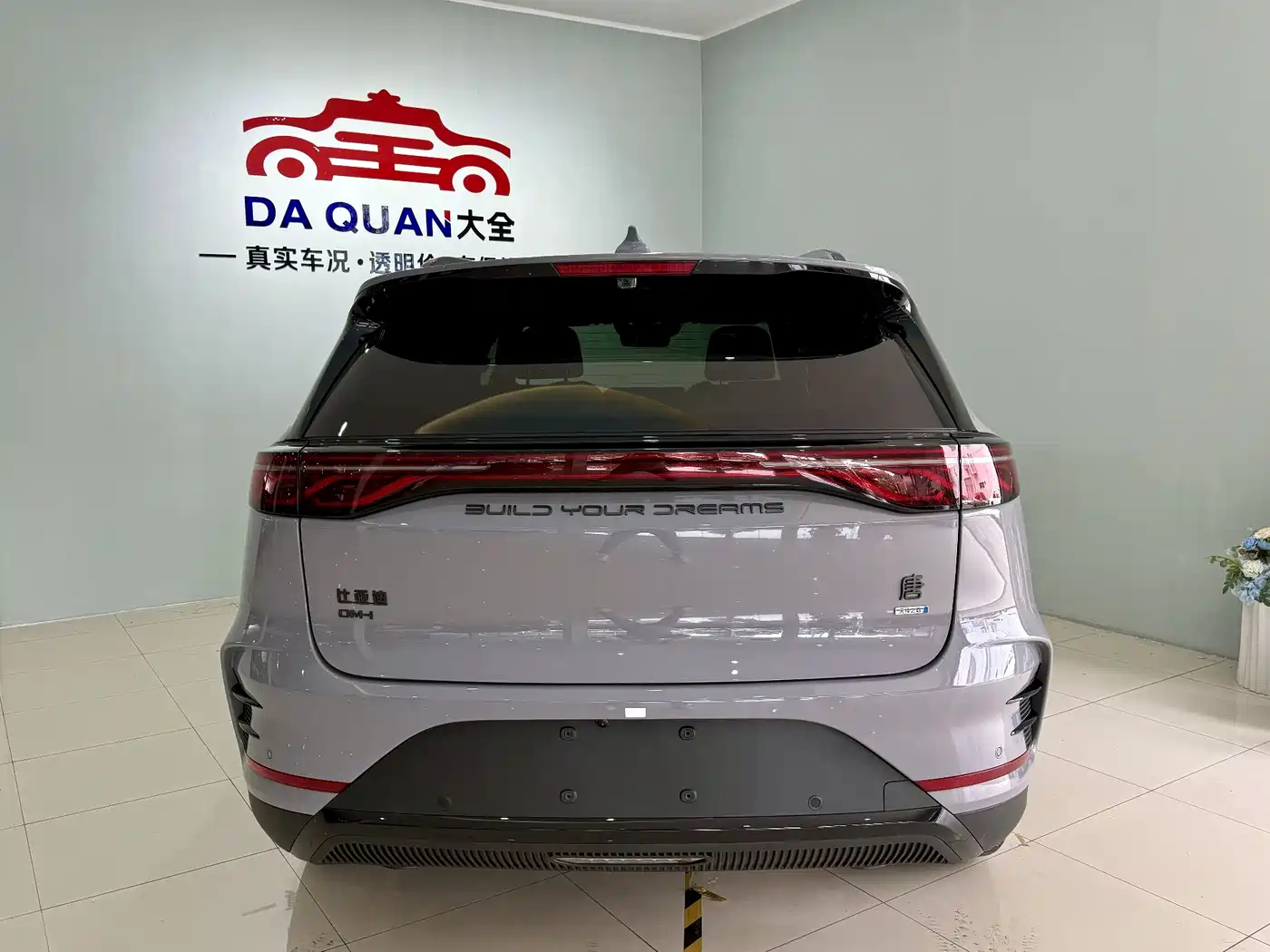 BYD Tang New Energy 2025 DM-i 115KM Flagship фото 18