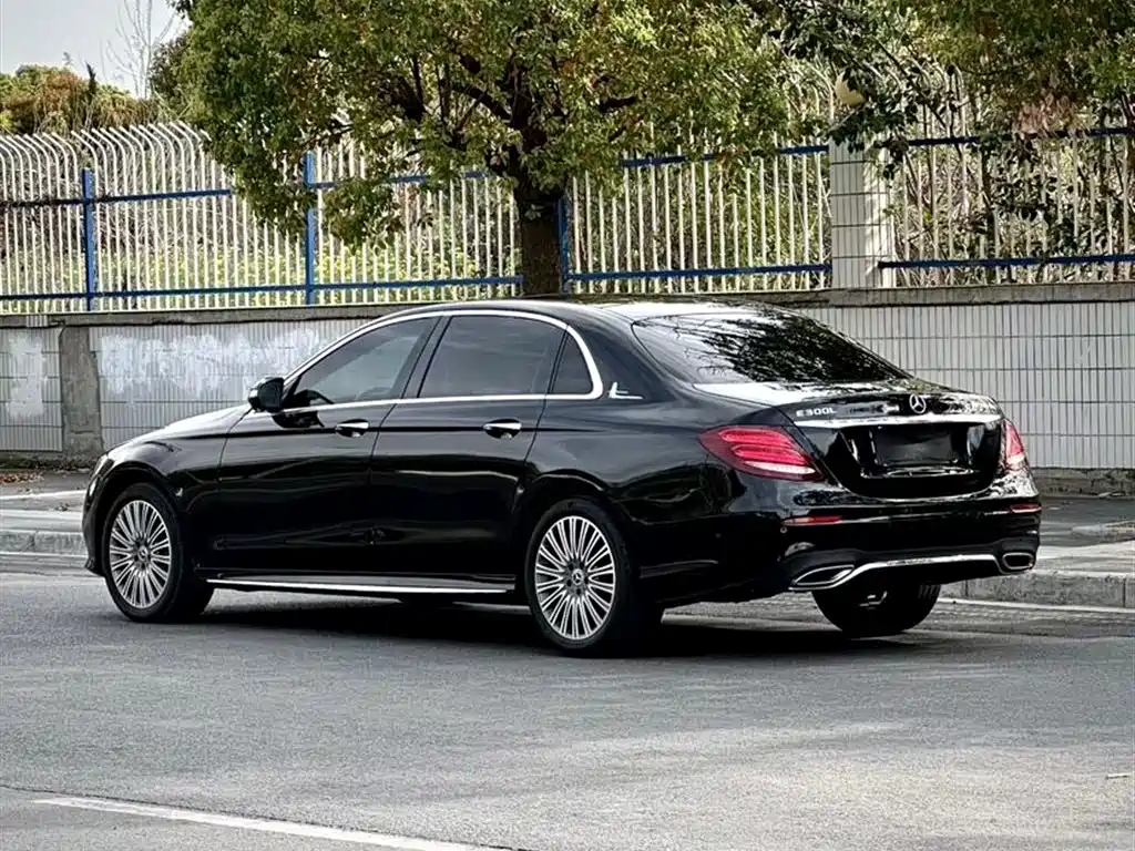 Mercedes-Benz E-Class 2019 Facelift E 300 L Sport Fashion фото 4