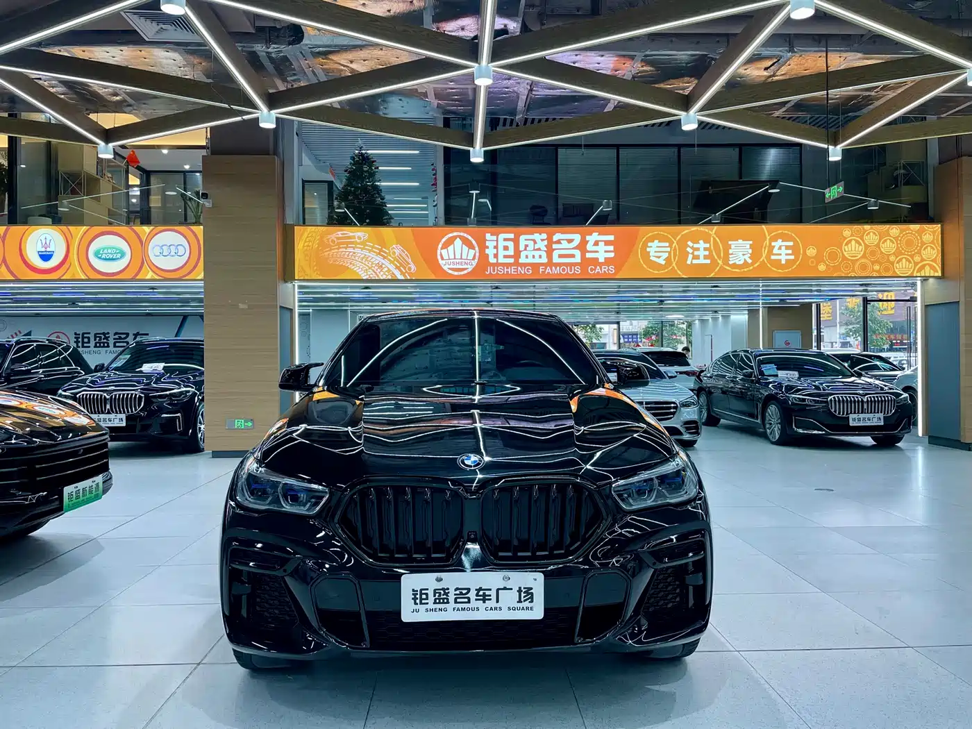 BMW X6