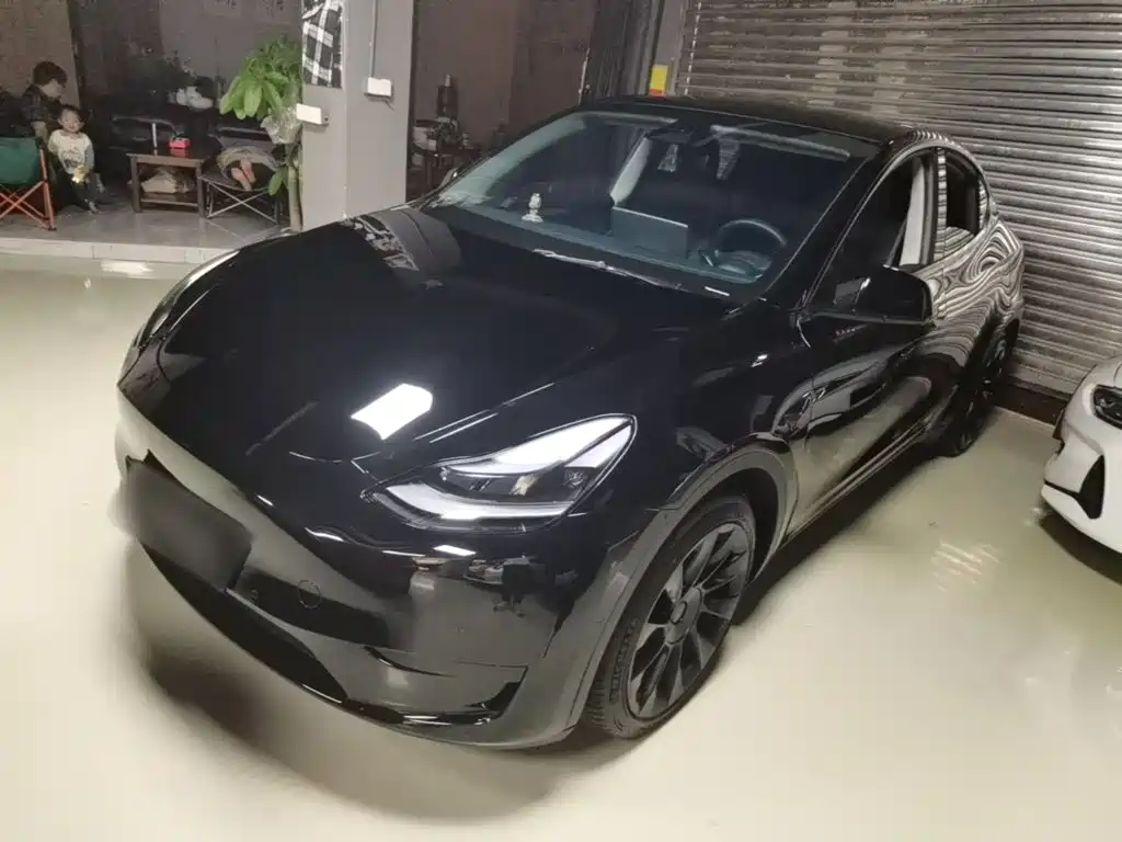 Tesla Model Y 2022 Rear-Wheel Drive Version