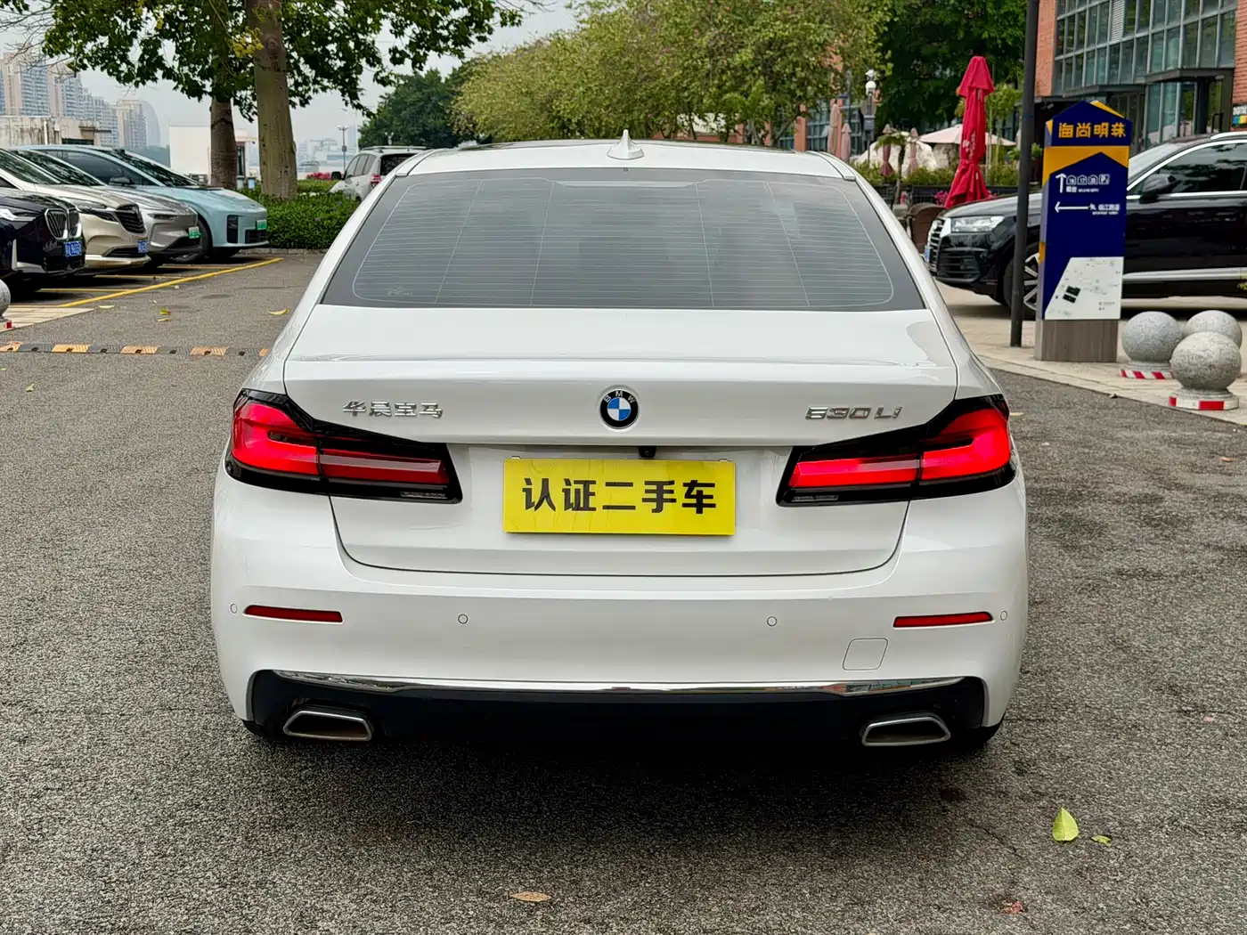 BMW 5 Series 2021 530Li Leading Luxury Package фото 4