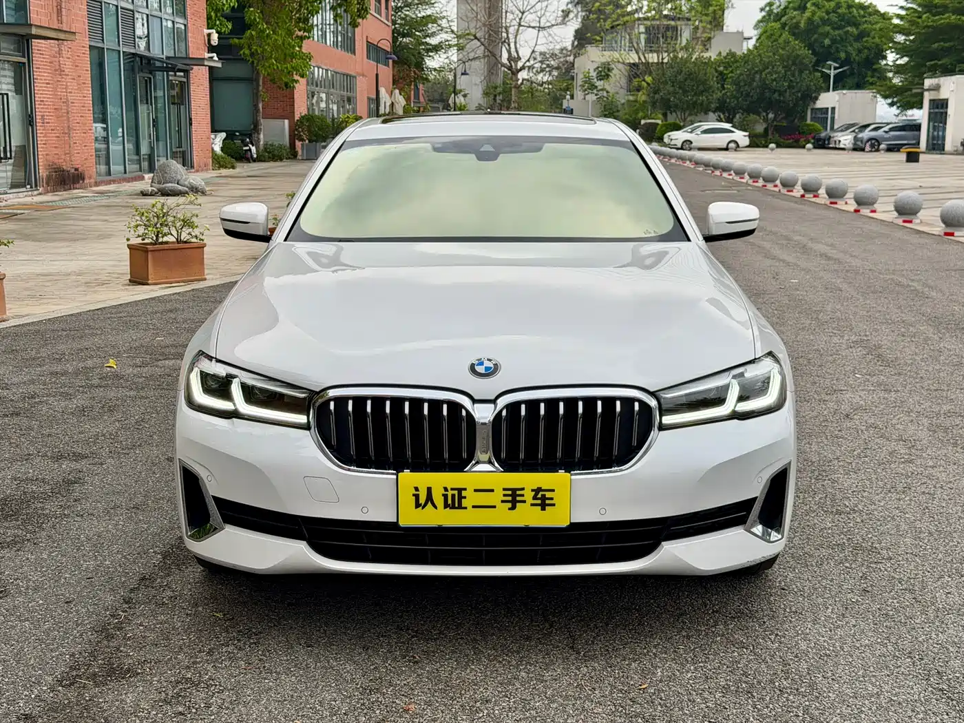 BMW 5 Series 2021 530Li Leading Luxury Package фото 8