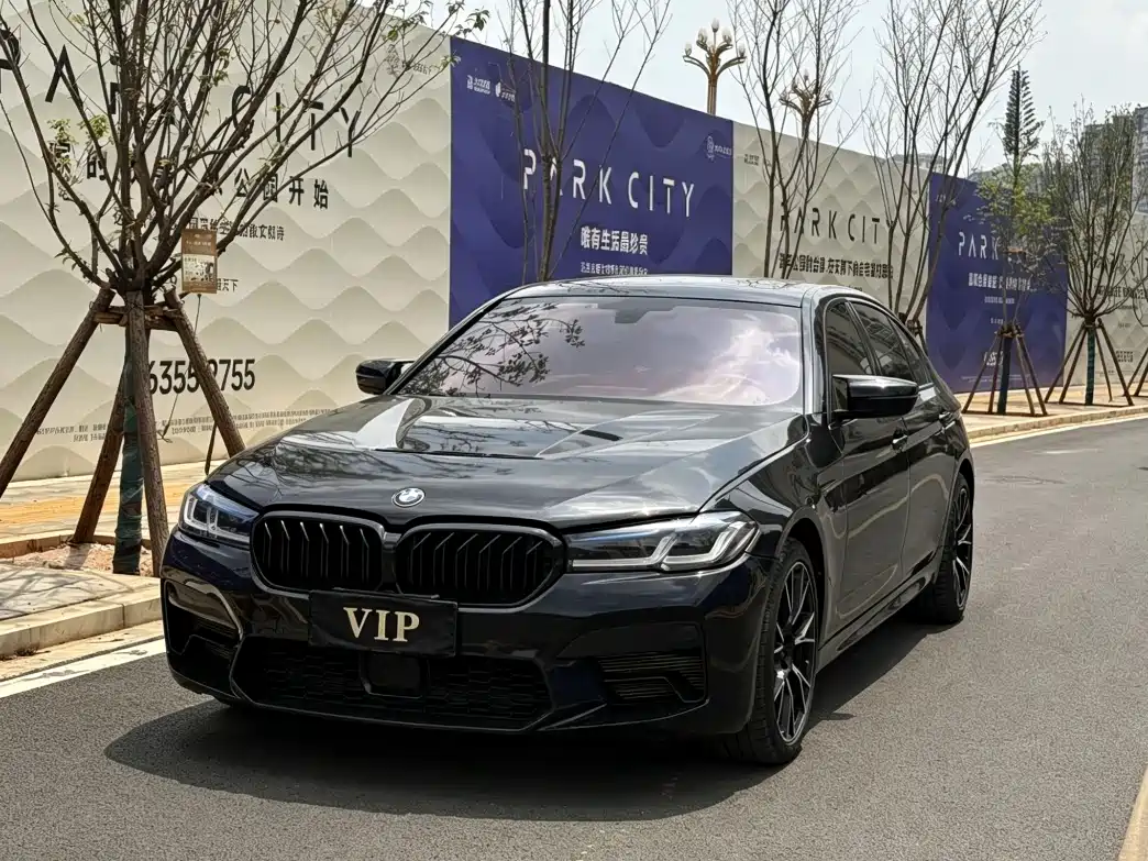 BMW 5 Series 2019 530Li Leading M Sport Package
