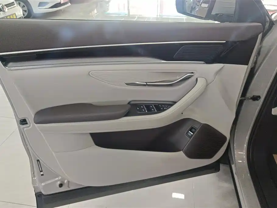 BYD SONGJIANG NEW ENERGY