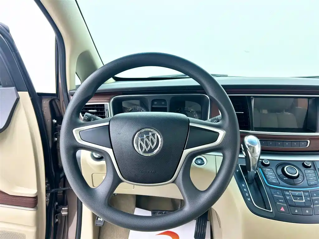 Buick GL8 2014 2.4L CT Luxury Business Comfort фото 6