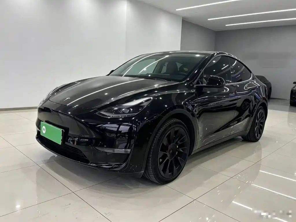 Tesla Model Y 2021 2021 Standard Range Rear-Wheel Drive