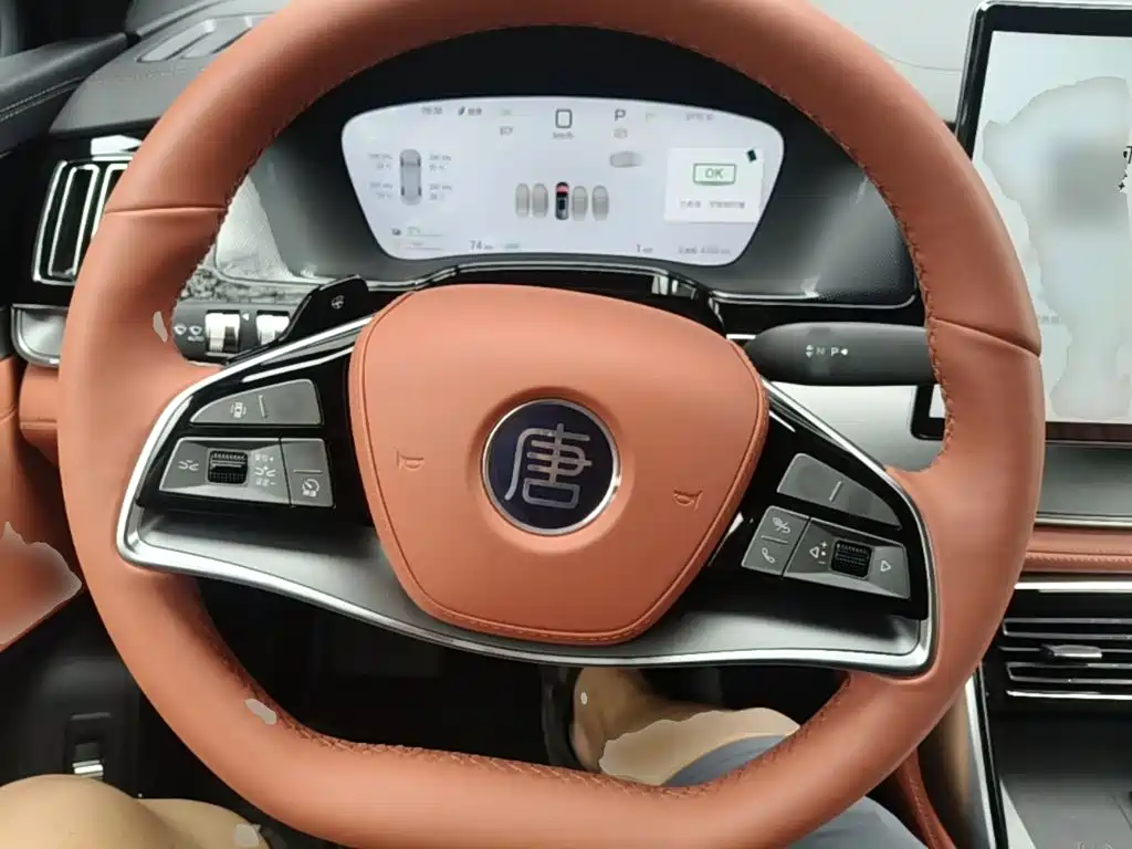 BYD Tang New Energy 2025 2026 Smart Drive Edition DM-i 160KM Premium