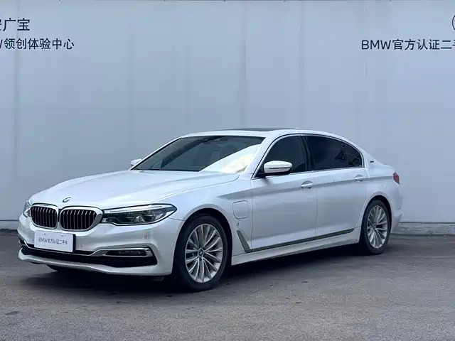 BMW 5 Series New Energy 2019 530Le Luxury Package — фото 1