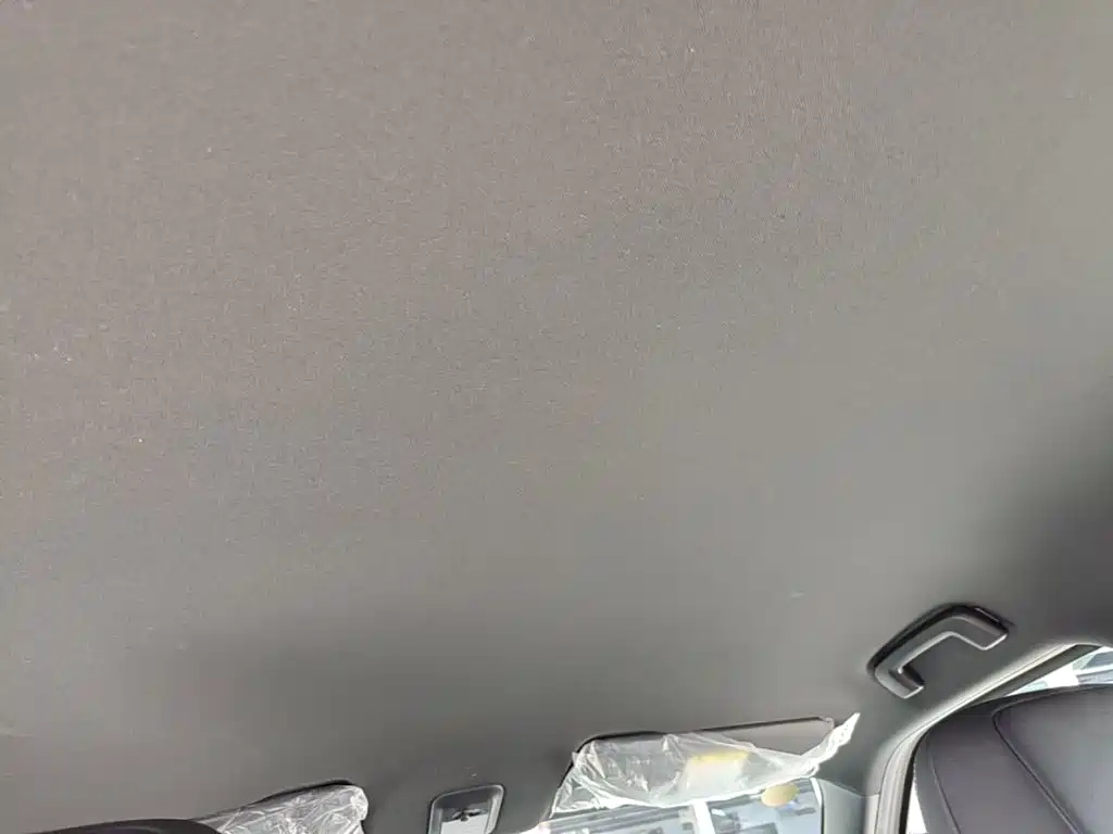 Baojun Yueye Plus 2026 2026 301km Flagship