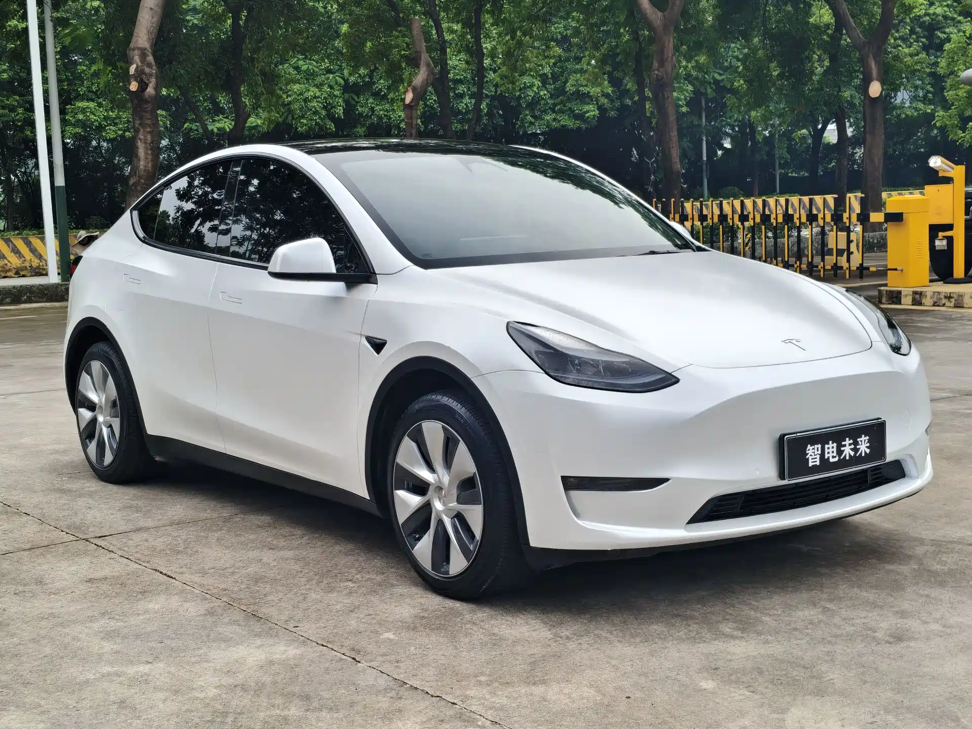 Фото 3 - Tesla Model Y