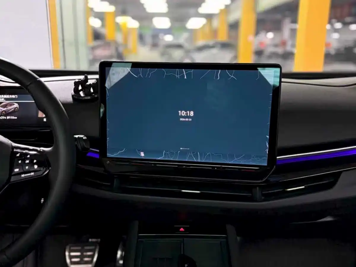 VOLKSWAGEN WITH THE CROWD 06