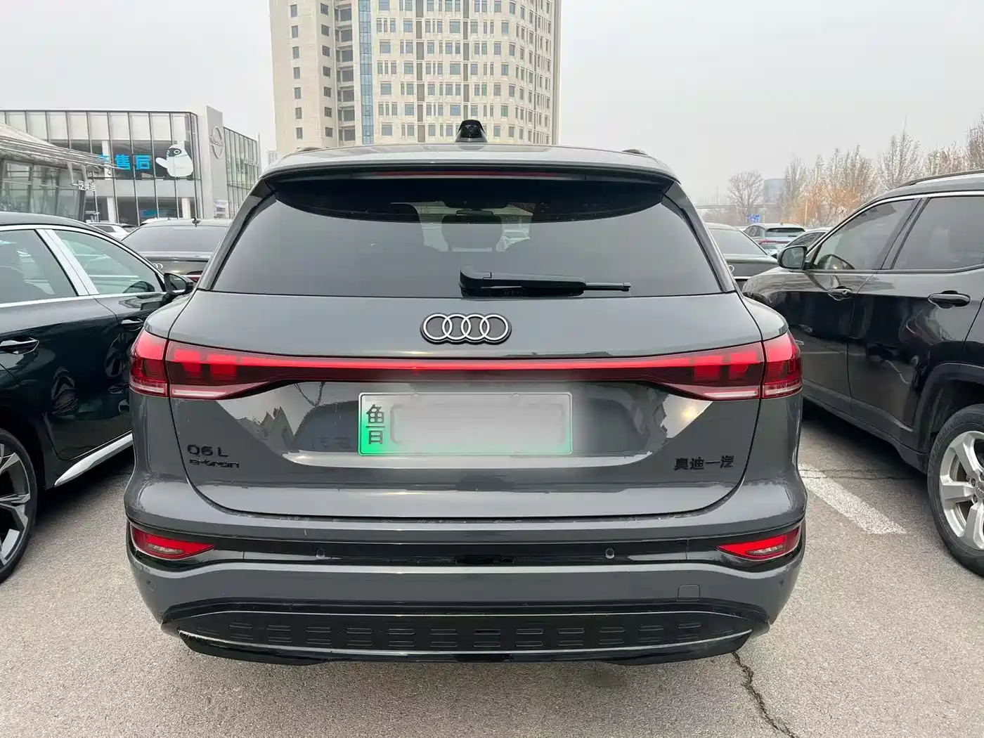 AUDI Q6L E TRON