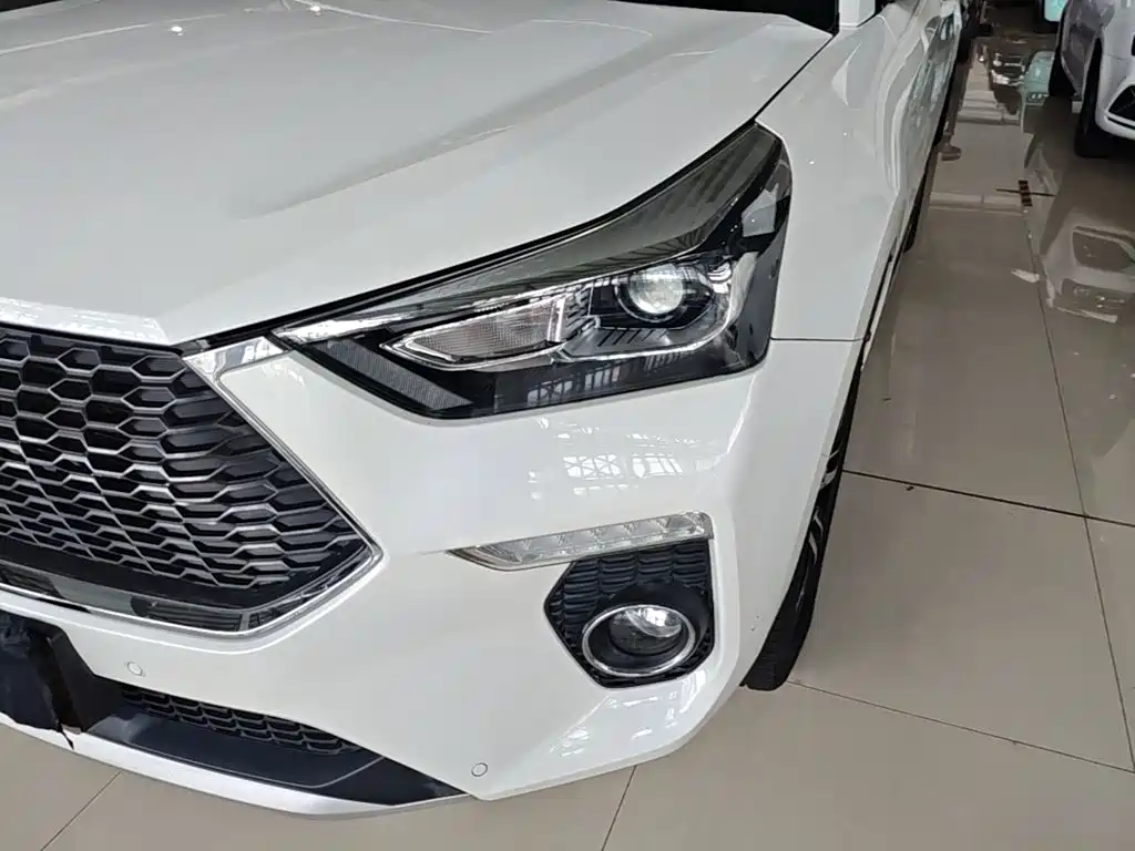 Haval H6 Coupe 2018 2018 Red Label 1.5T Auto 2WD Ultra Luxury