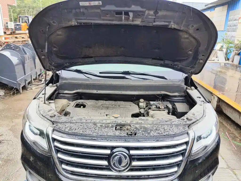 Dongfeng Fengxing Fengxing SX6 2016 2016 1.6L Manual Luxury