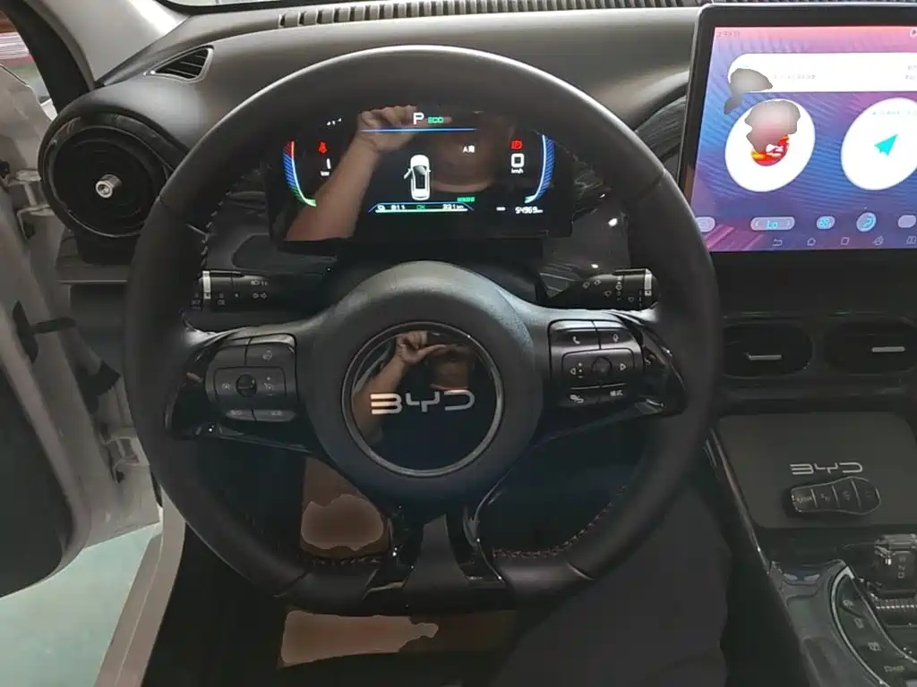 Photo 11 - BYD e2