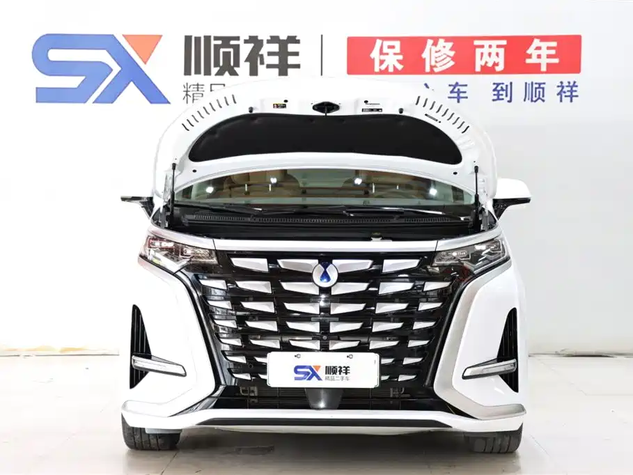 Denza D9 2022 DM-i 970 AWD Flagship фото 20