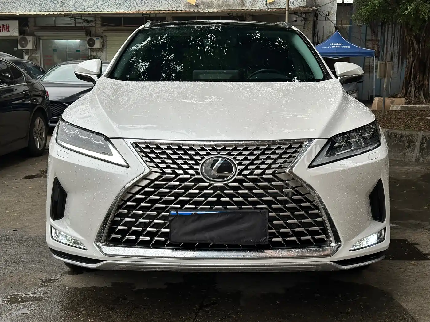 LEXUS RX