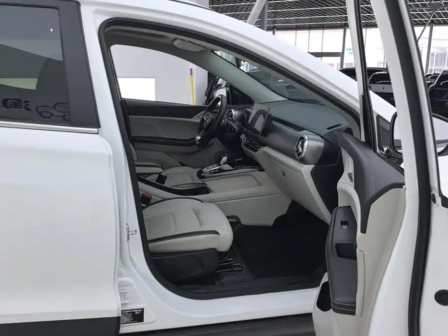 BYD Yuan Pro 2022 2021 401KM Premium Model