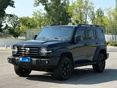 Tank 300