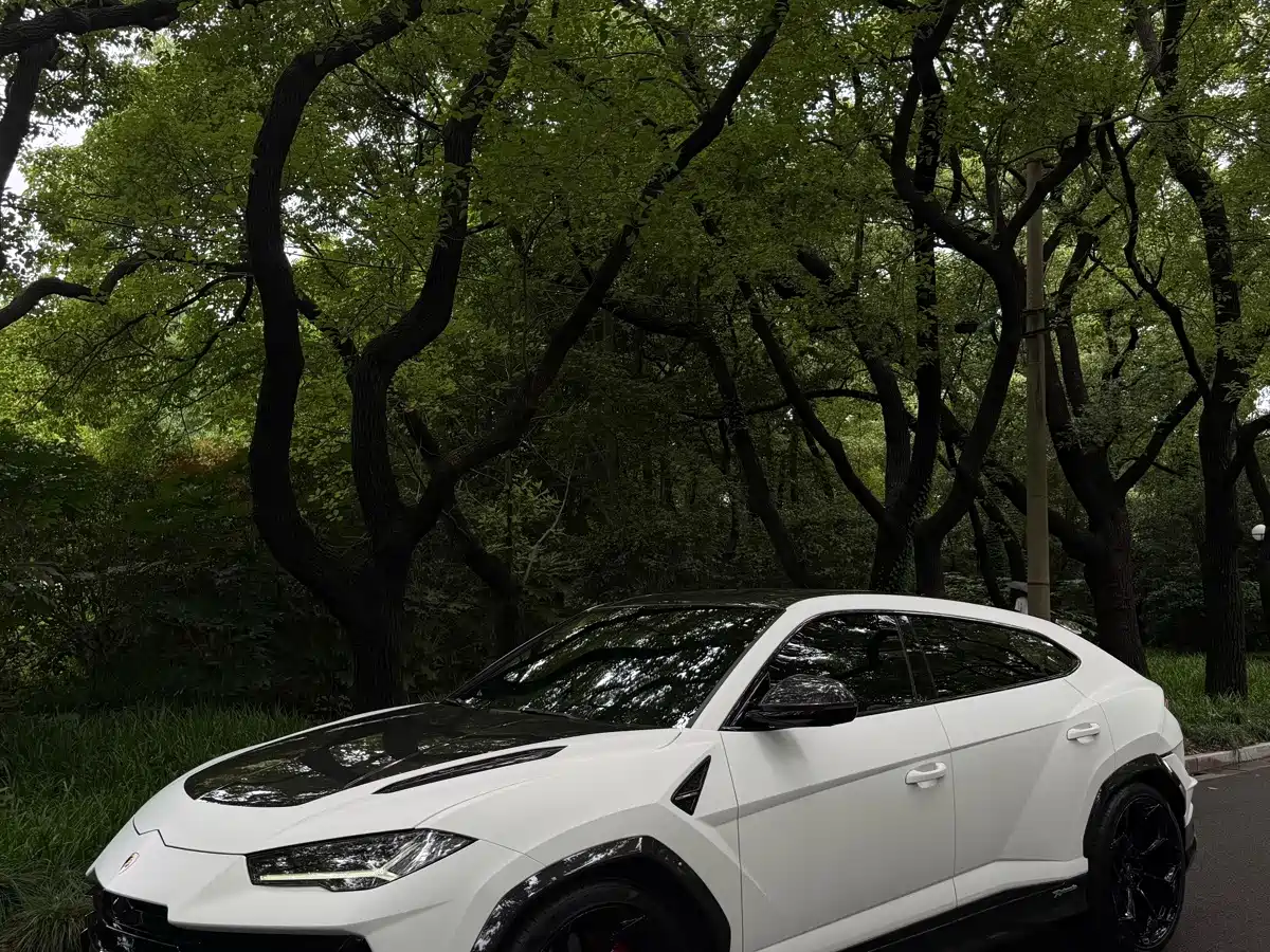 Lamborghini Urus 2023 2022 4.0T V8 Performante