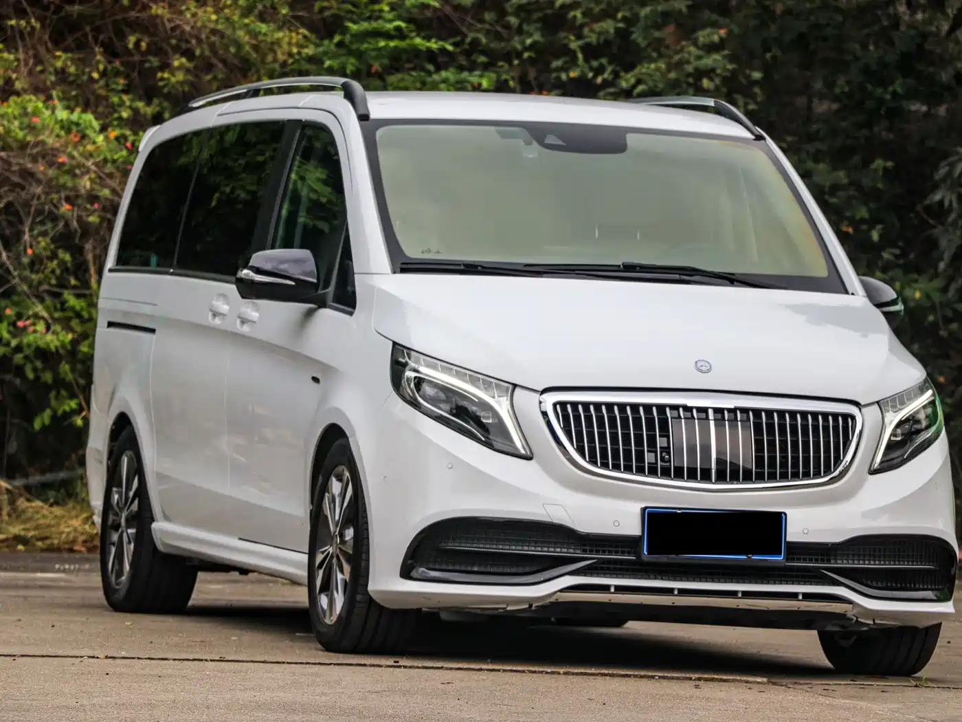 Mercedes-Benz V-Class 2016 V 260 Premium Edition фото 3