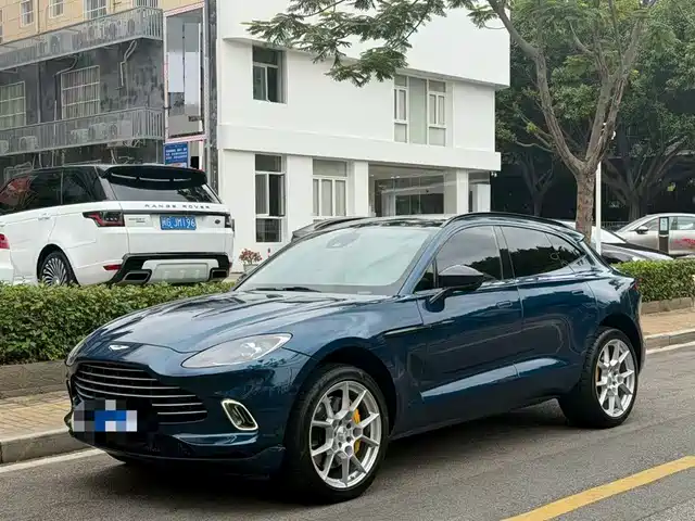  Aston Martin Aston Martin DBX 2021 4.0T V8 Silk Road Splendor