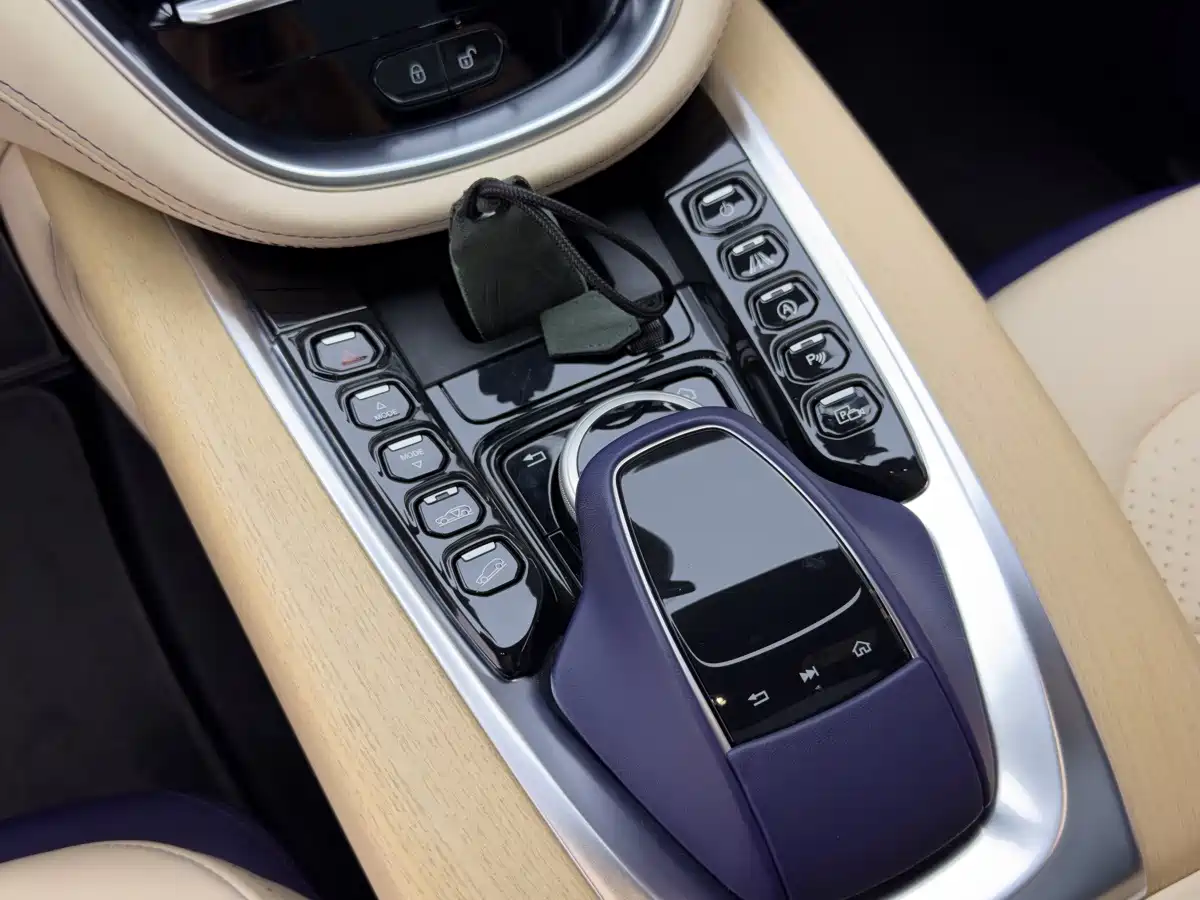 Aston Martin DBX 2021 2020 4.0T V8