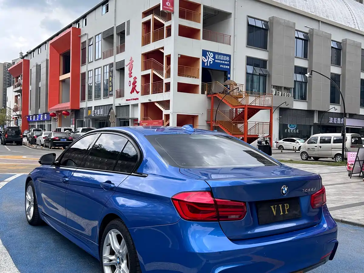 BMW 3 Series 2017 320Li M Sport фото 9