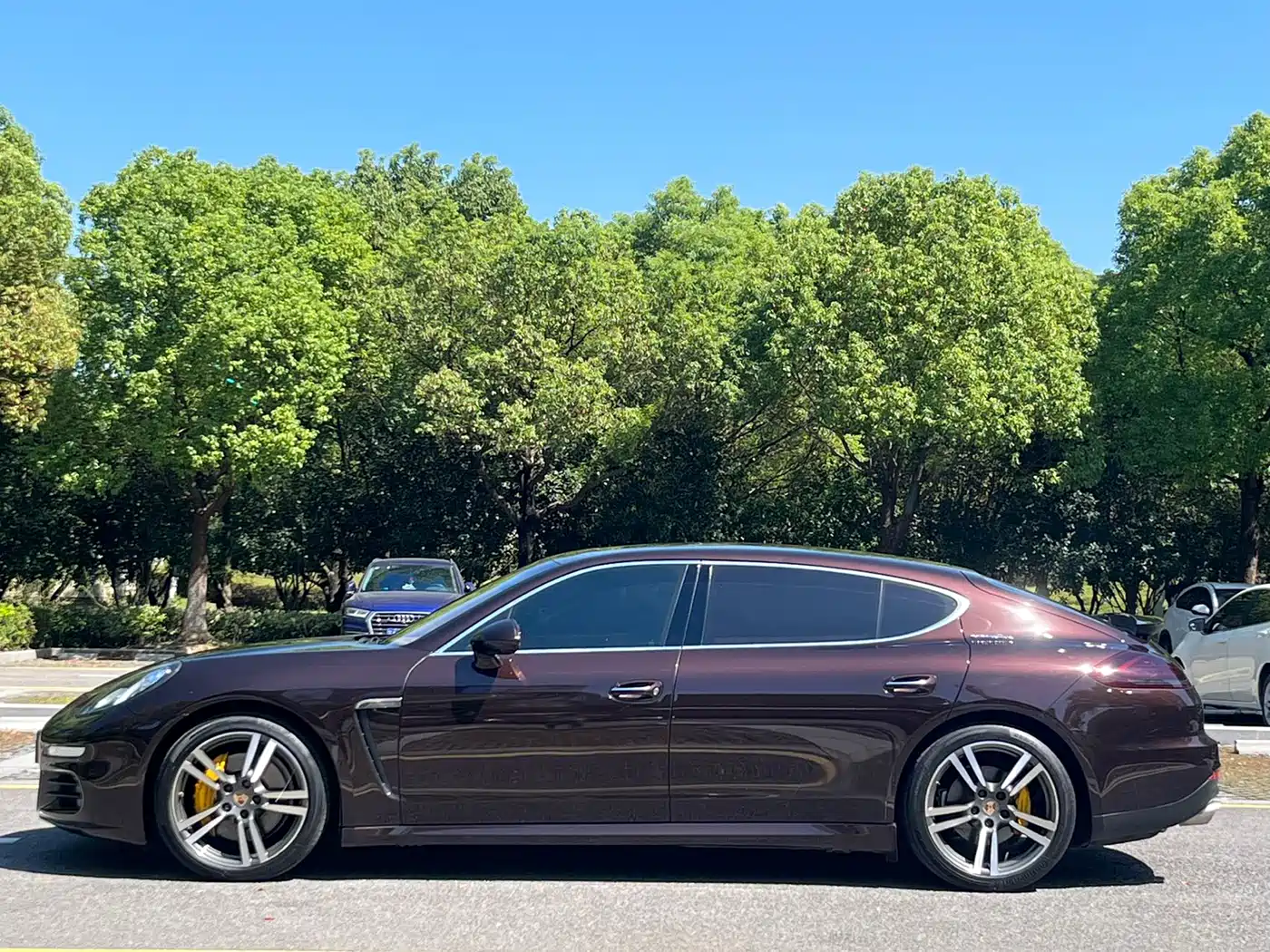 Porsche Panamera 2014 Panamera S Executive 3.0T фото 24