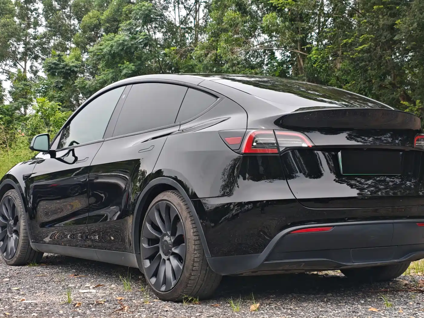 Фото 4 - Tesla Model Y