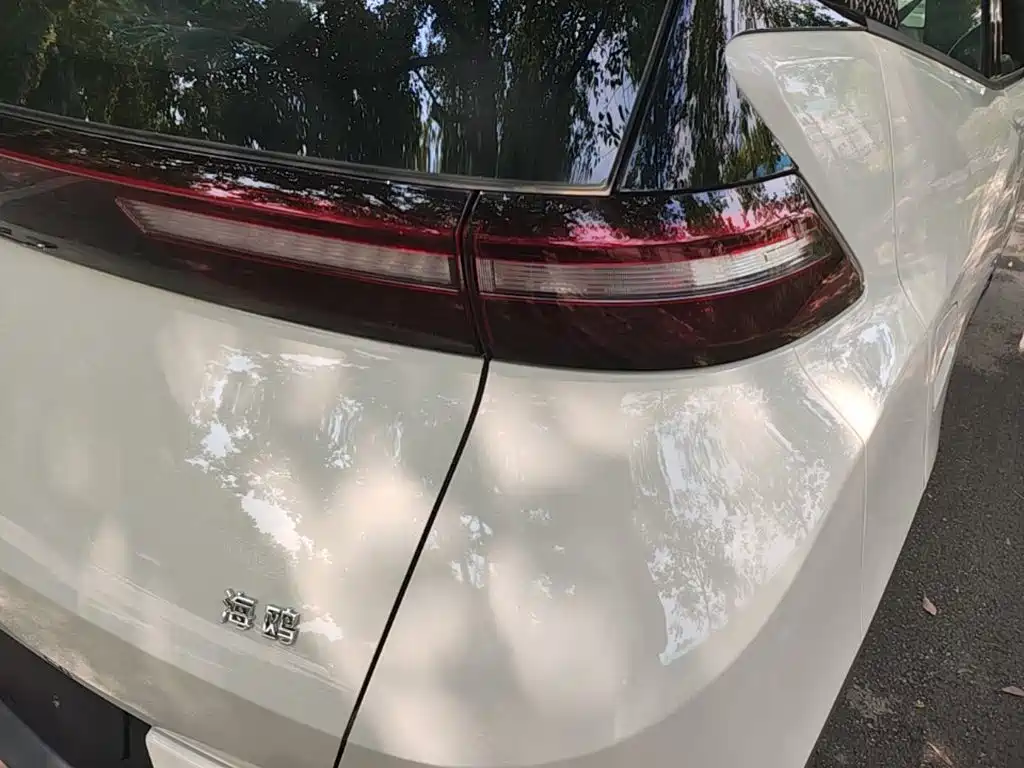 BYD Seagull 2026 2025 305km Vitality