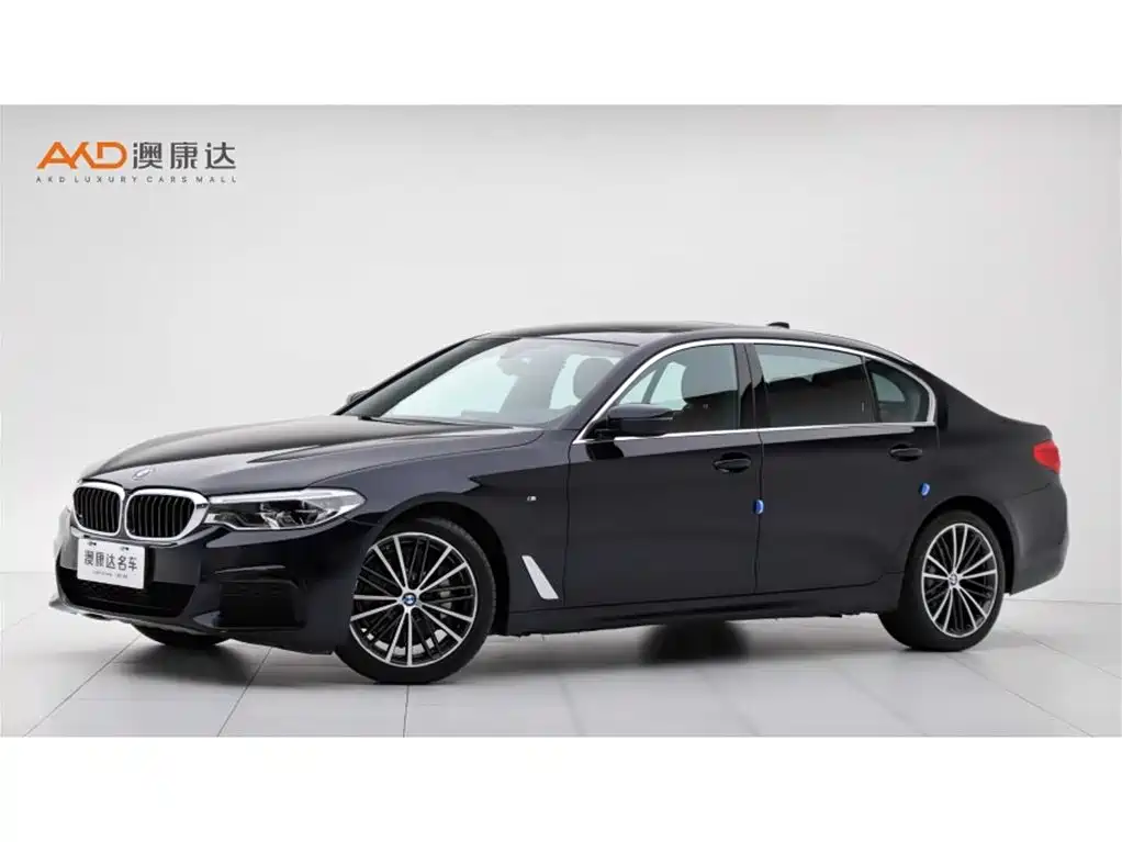 BMW 5 Series 2020 530Li Exclusive M Sport Package