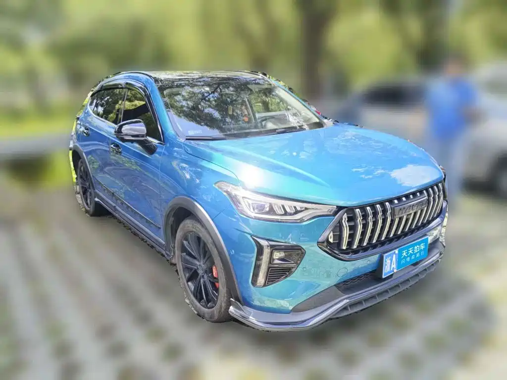 Haval Chitu 2022 2021 Boost Edition 1.5T Platinum Rabbit