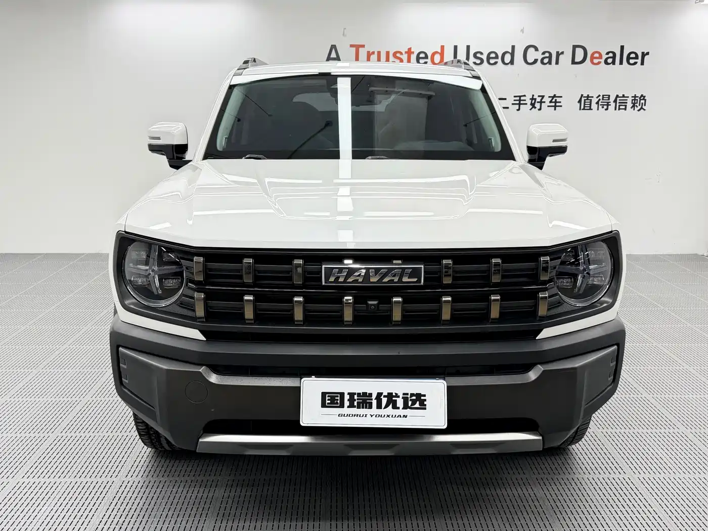 Фото 2 - Haval Cool Dog