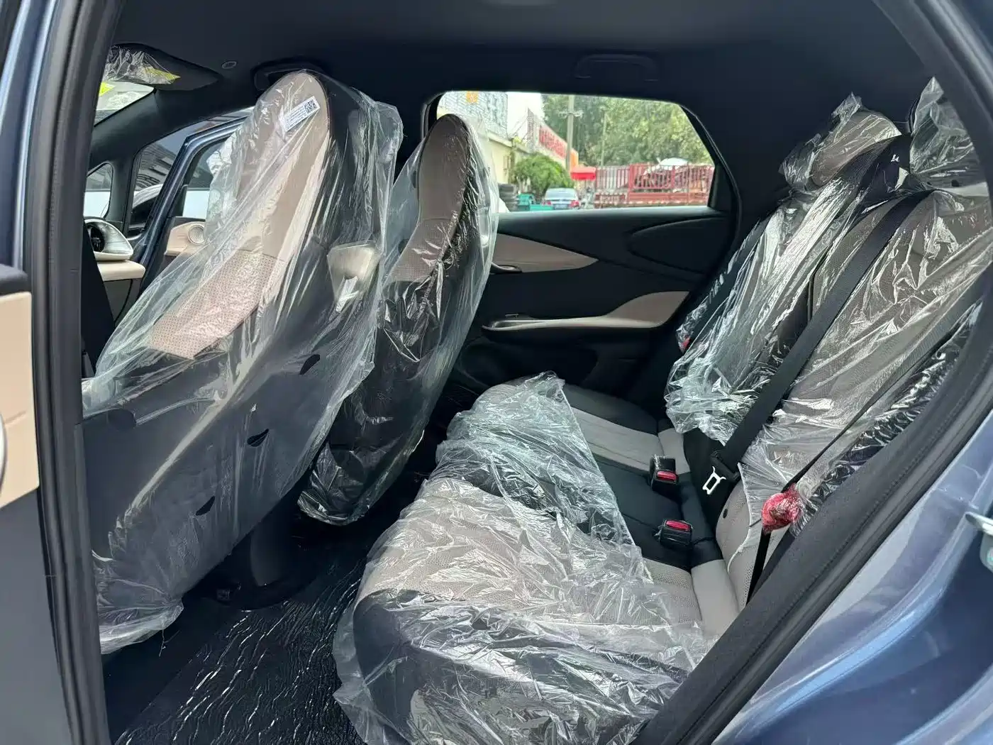 BYD Dolphin 2026 2025 420km Freedom Edition