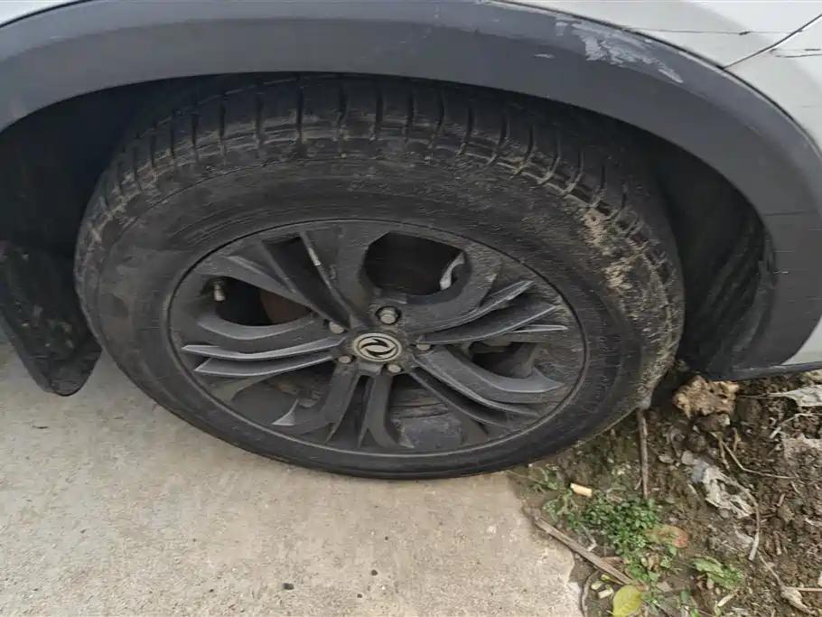 DONGFENG SCENERY 500