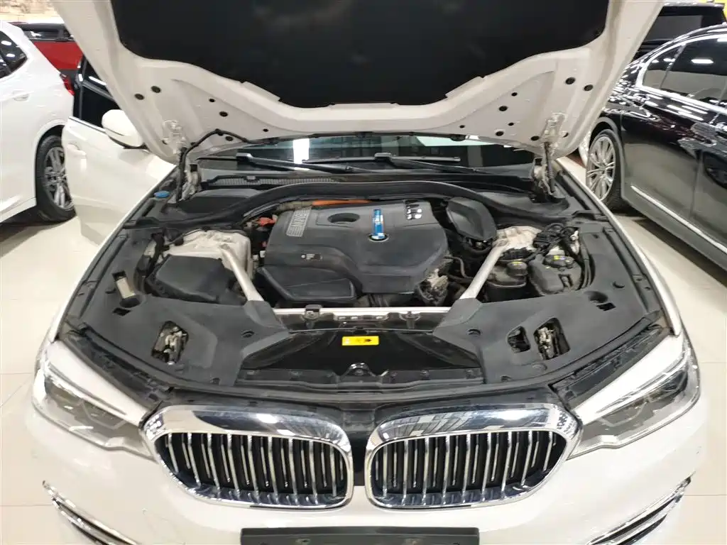 BMW 5 Series New Energy 2020 530Le Range Upgrade Pioneer Edition фото 17