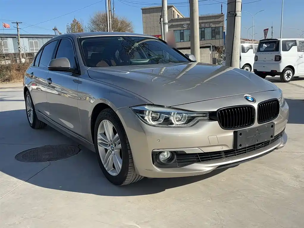 BMW 3 Series 2016 320Li Progressive фото 10