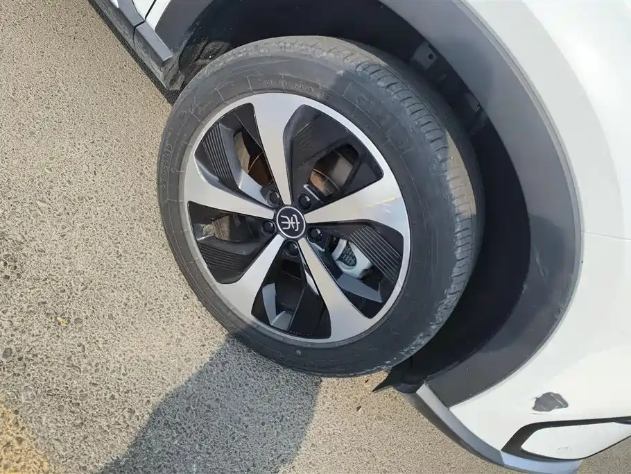 BYD Song PLUS PHEV 2021 EV Premium Model фото 6