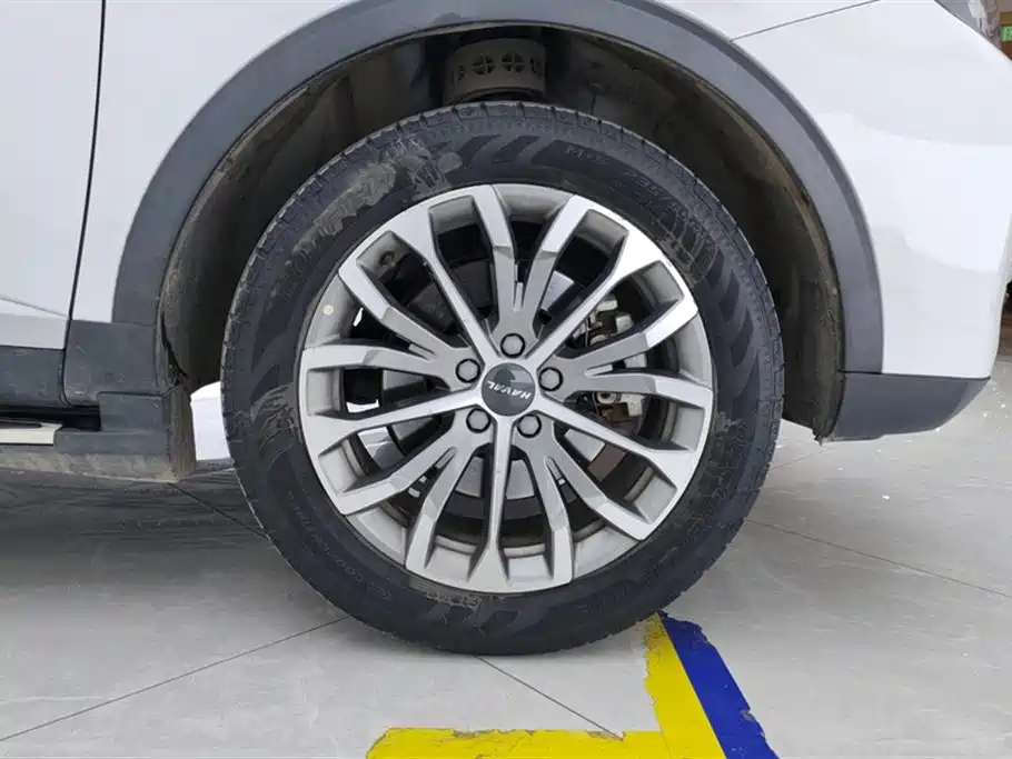 Haval H6 2020 2.0GDIT Automatic Platinum Champion Edition фото 6