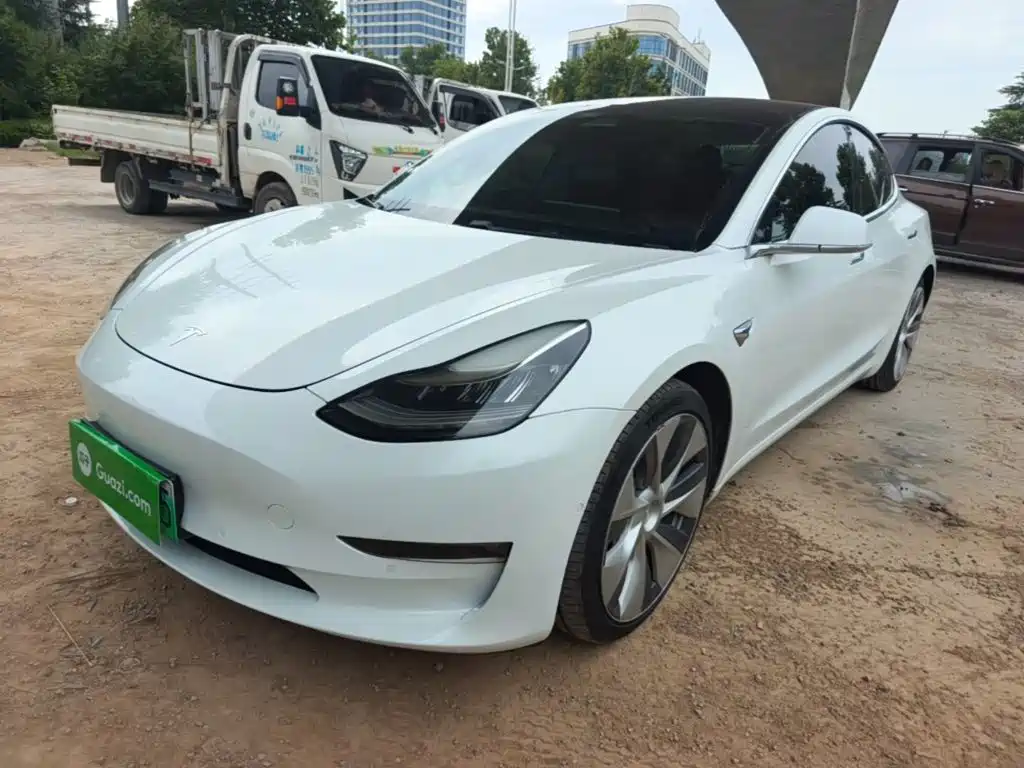 Tesla Model 3 (Import) 2019 2019 Performance High-Efficiency All-Wheel Drive Version