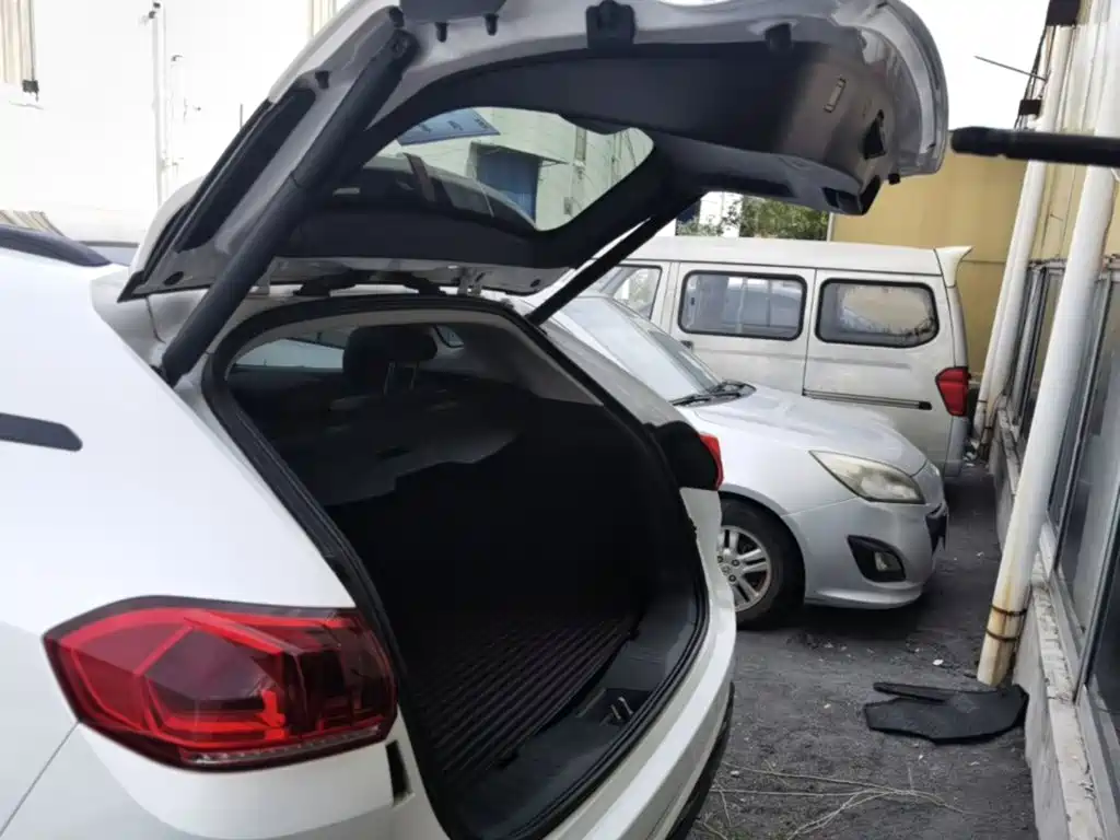 WEY VV5 2017 2017 2.0T Flagship Model