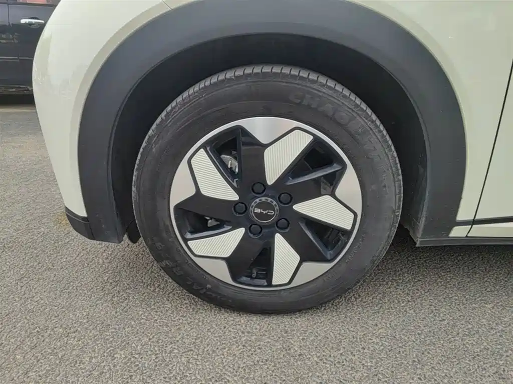 BYD Dolphin 2024 Glory Edition 420km Fashion Edition фото 23