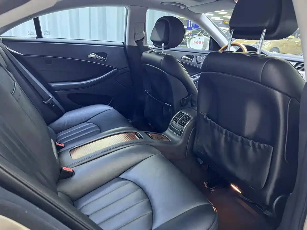 Mercedes-Benz CLS 2009 CLS 300 фото 16
