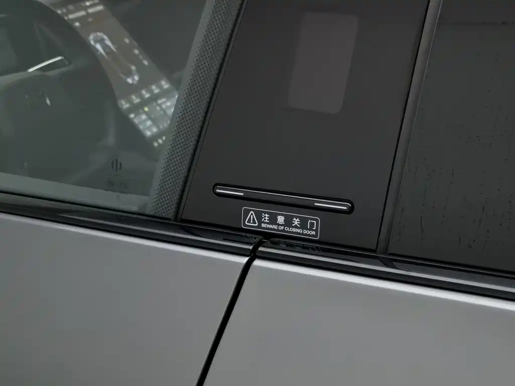HiPhi X 2022 2021 Flagship Edition 6-Seater