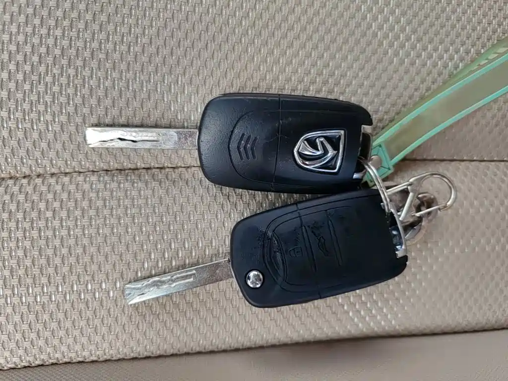 Baojun 310W 2019 2017 1.5L Manual Comfort China V