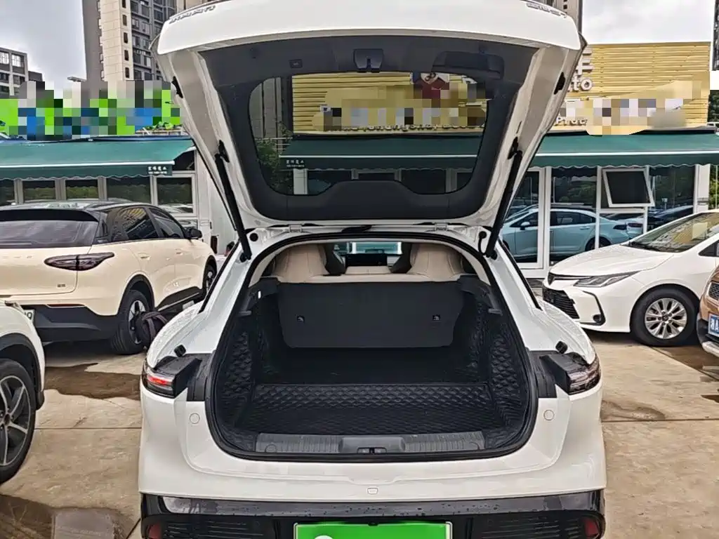 Dongfeng Fengxing Stellar S7 2024 2024 555 Luxury Edition
