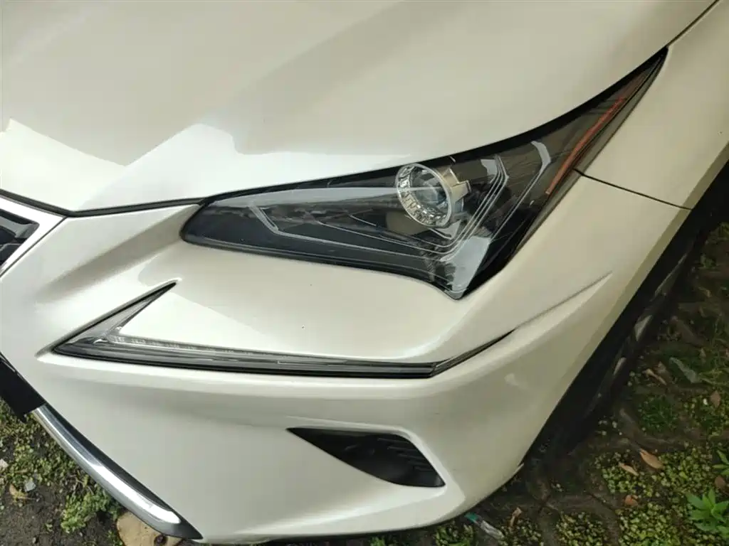Lexus NX 2017 300 FWD Sharp Edition фото 24